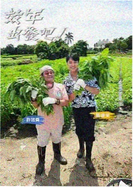 亚洲福利网站榜单TOP4